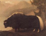 George Stubbs Yak oil